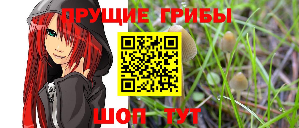 Псилоцибиновые грибы GOLDEN TEACHER  Вход с VPN  Шали 